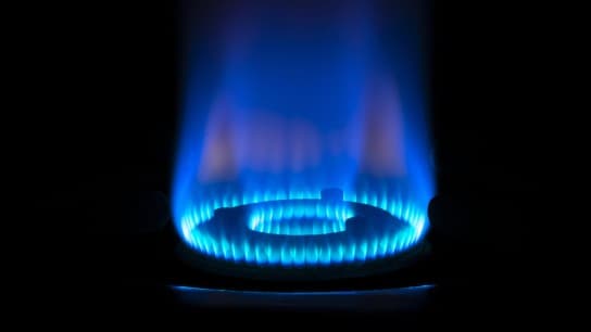 iStock 1298261677 scaled