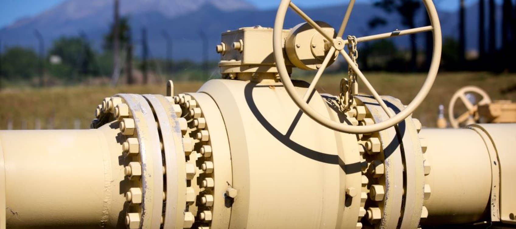 Firstgas comcom media release feature