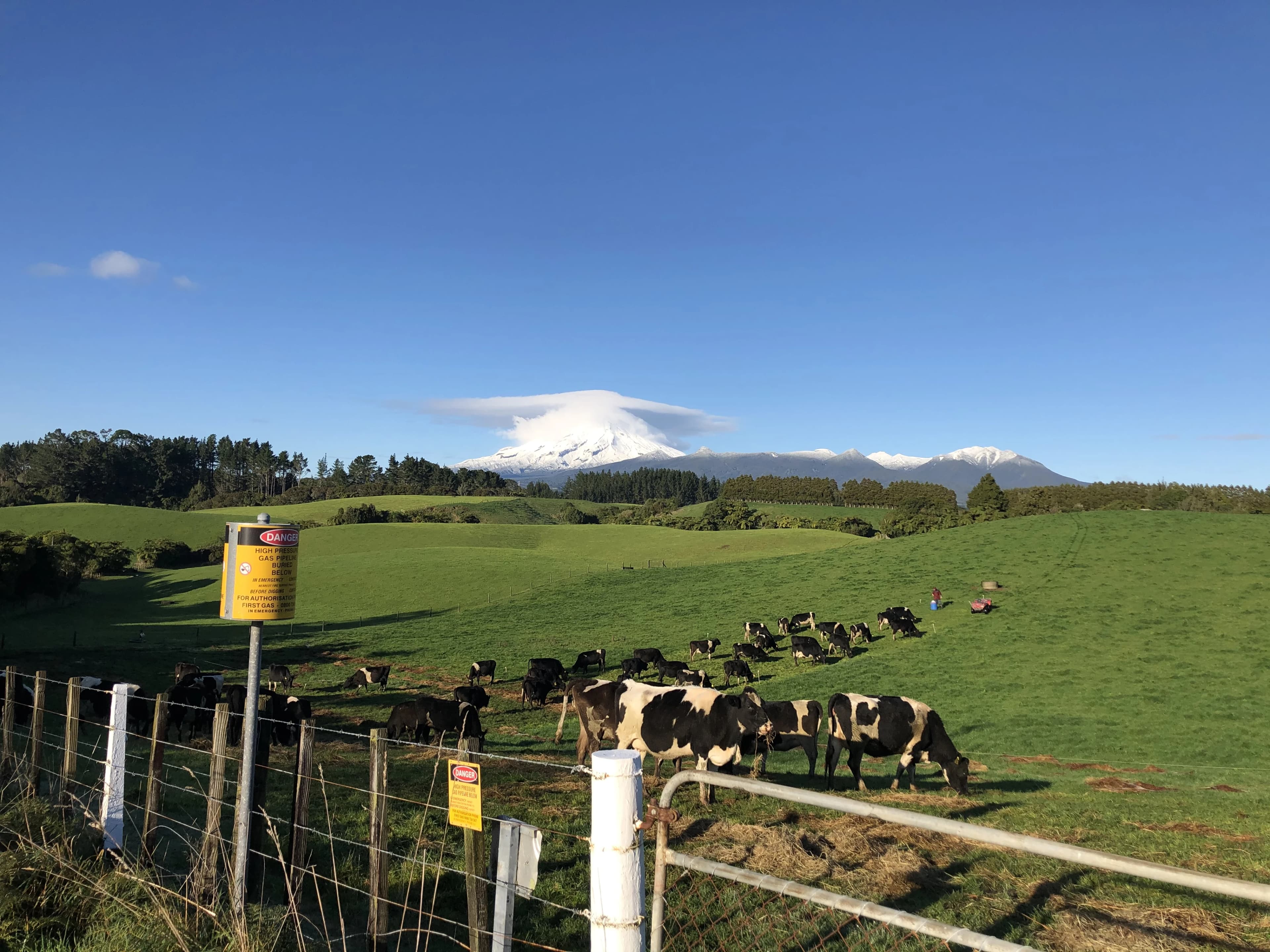 2021 July Baker Road New Plymouth Sharon Marshall 1